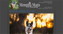 Desktop Screenshot of memphismuttspetphotography.com